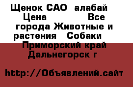 Щенок САО (алабай) › Цена ­ 10 000 - Все города Животные и растения » Собаки   . Приморский край,Дальнегорск г.